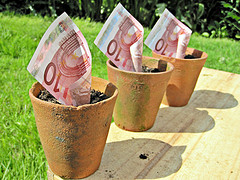 Euros. CC-Foto von Images_of_Money.  http://creativecommons.org/licenses/by/2.0/deed.de 